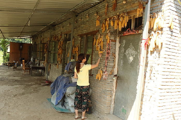 ��ɵ�����