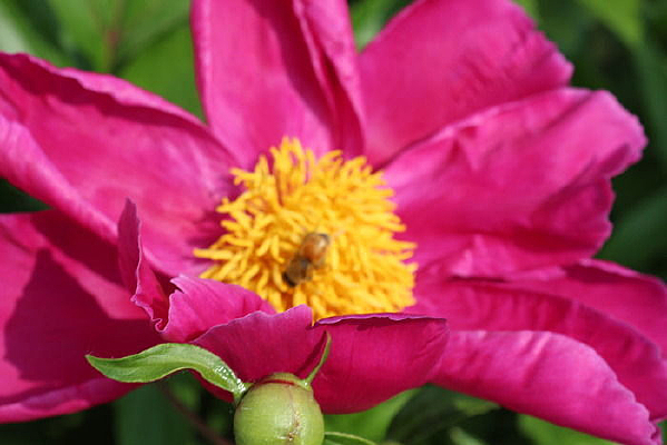 �ۺ컨 �۷��ڷ�