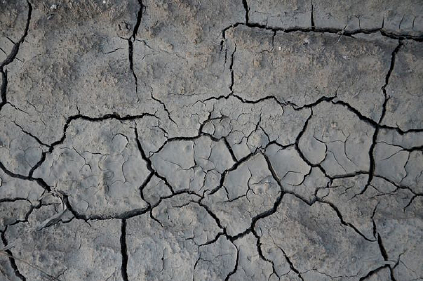 �����ز�