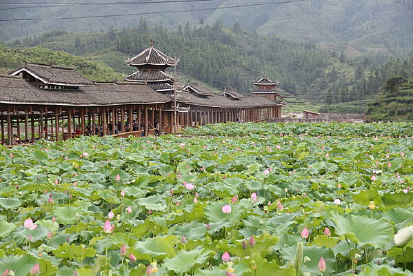 ����ɻ�����