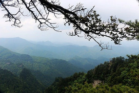 ���䵱���