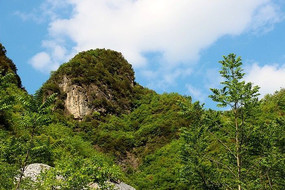 ���䵱����