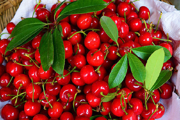 �ʺ�ĳ�����