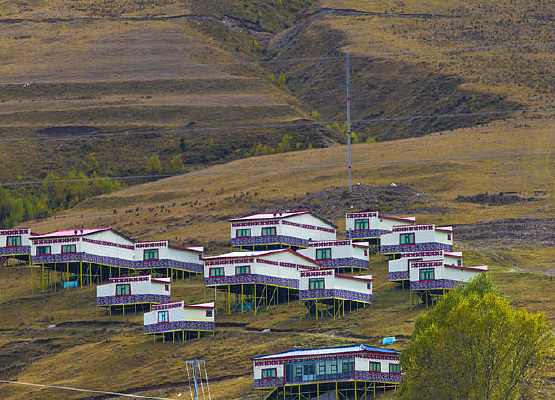 ���µ�ľ��