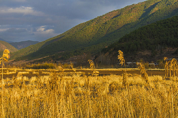 �����ɿݵ�«έ