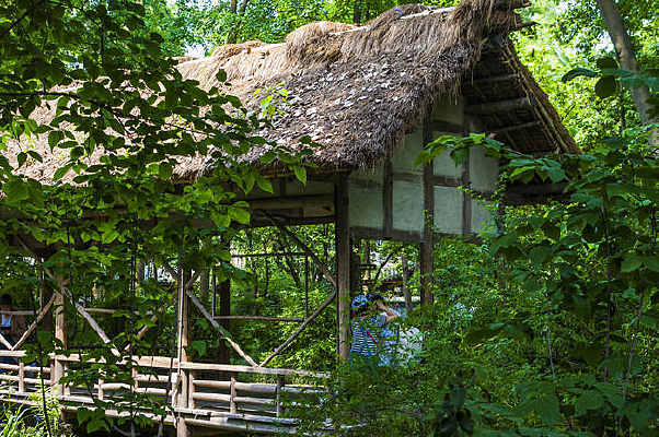 �Ÿ����ò����е�����