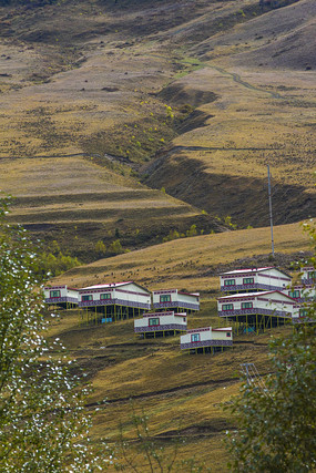 �����µ�ľ��