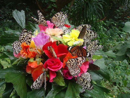 ����������