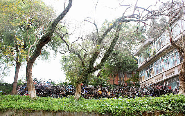 У԰������Ӱ