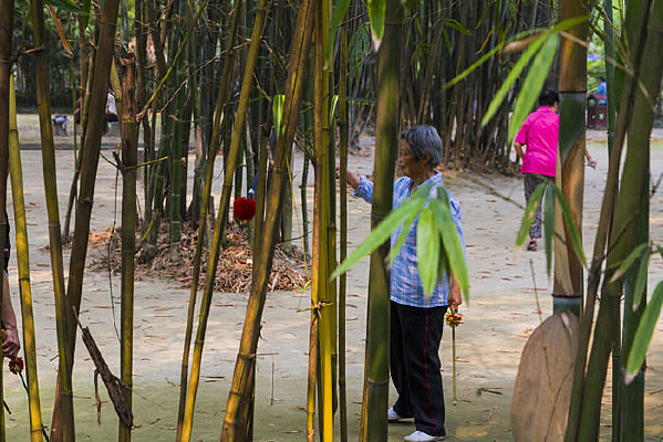 ���õ�����