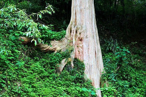 ��ɽ��ӹ����������