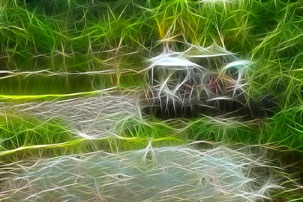 ���Ի���������