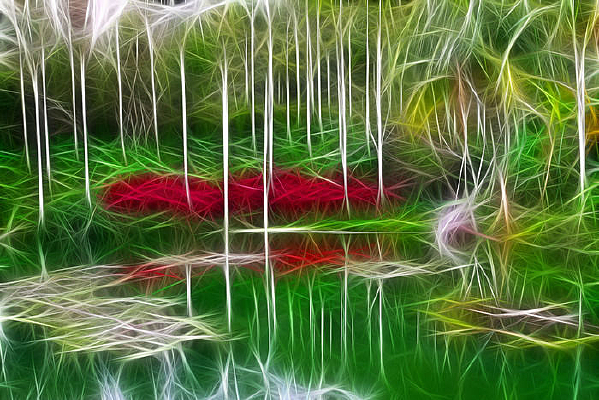 ���Ի���ˮ����Ӱ��