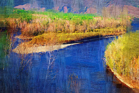 �����ͻ���ɭ��֮�ӡ�