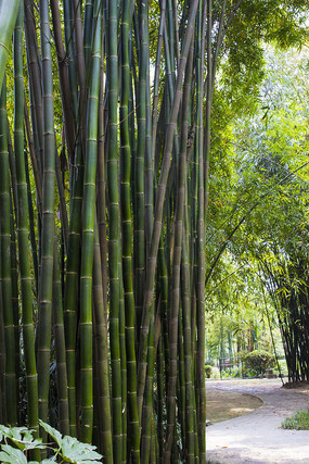 ���˻���