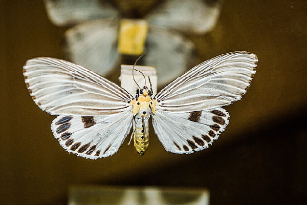 ��ü��Ū��