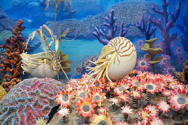  �����������