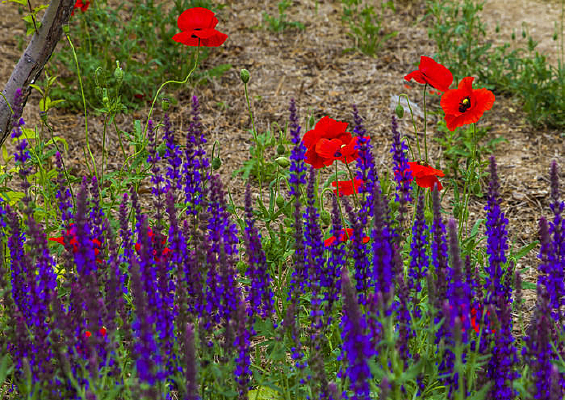 ��������