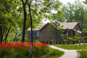 �����еı���