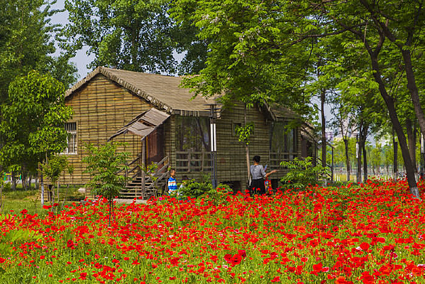 ����ľ��