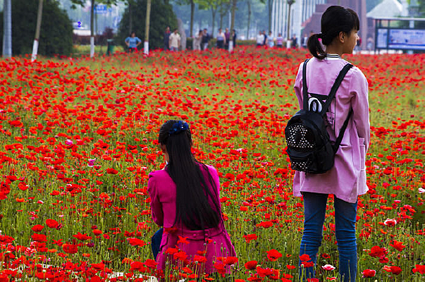 ������Ů