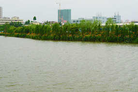 �������߷羰