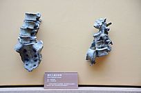 ˲