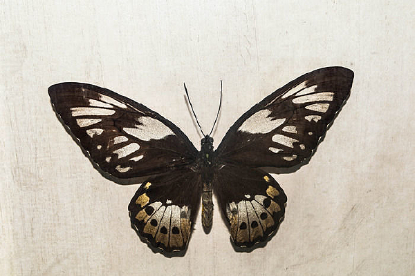 ���������_