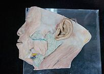 �沿����ͼ