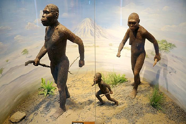 ��Գ��ӡ��ԭ����