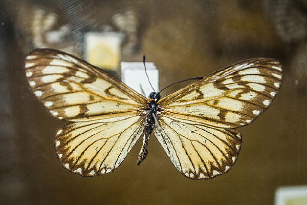 ������Ū��_