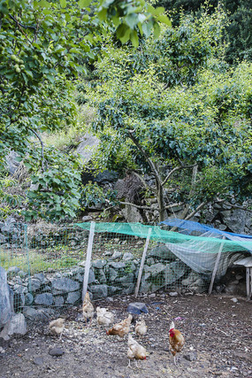 ɽ���µļ���