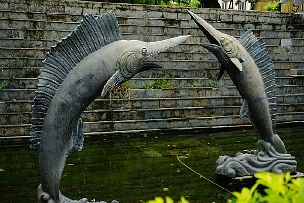 ˮ�������