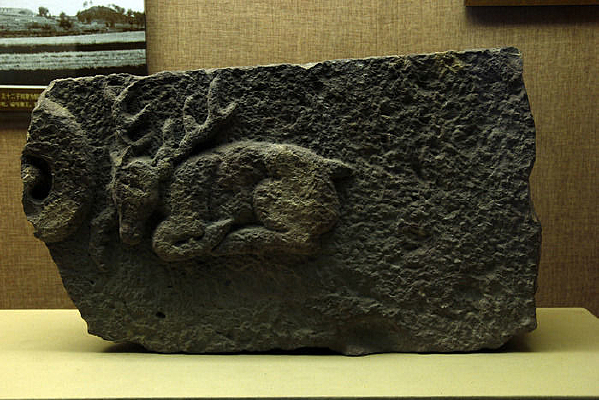 _��¹ͼ������ʯ