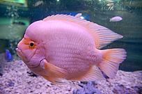 ˮ������