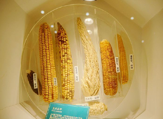 �ӽ�����