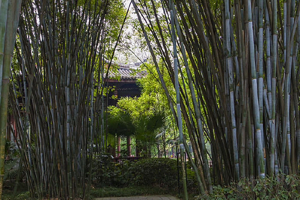 �������ͥԺ