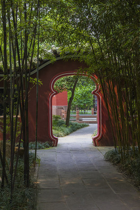 �����µ�ƿ״����