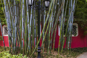 �������ǽ