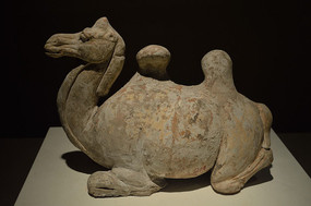 �ʻ�������