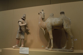 �ʻ�����ǣ��ٸ