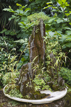 �辰 ��ɽ��