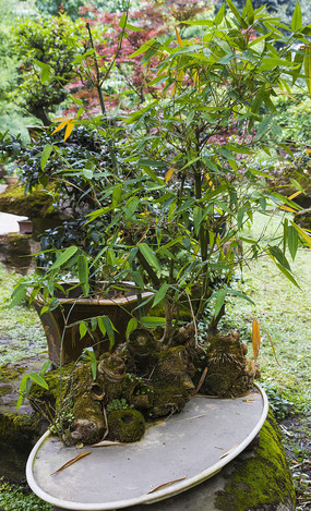 �辰 �ϸ�����