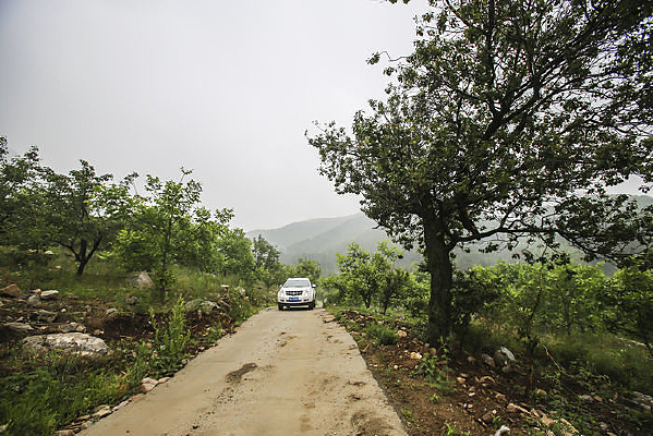 ɽ��С·������