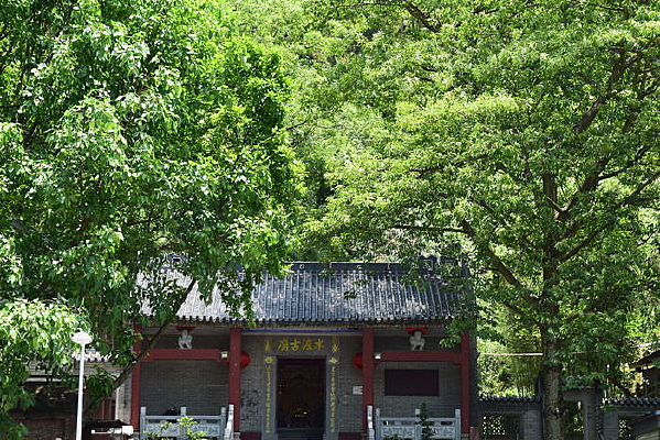 ������Ӱ