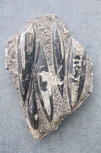 ���ռ������ֽ�ʯ