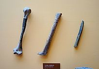 ����Գ�˹�����ʯ