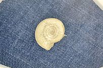 ��Բ�μٺ��־�ʯ