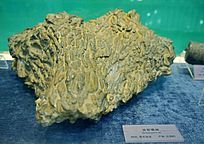 ����ʱ�ѹ�ɺ��