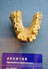 ���Ͼ�Գ����